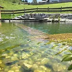 Alpesi faház Flichtlhof Huette Abtenau