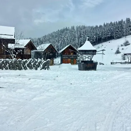 Chalet Flichtlhof Huette Abtenau