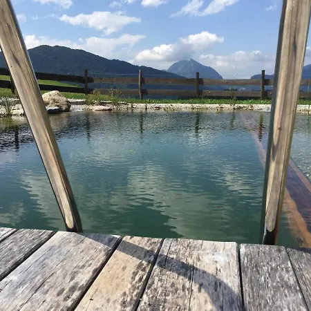 Chalet Flichtlhof Huette Abtenau